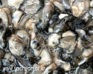 사천수산