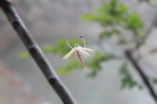 논실산장민박
