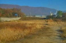 100억공인중개사사무소