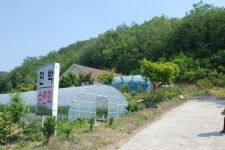 춘천민박정가네