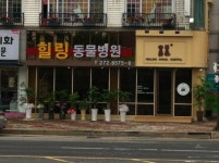 힐링동물병원