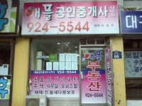 애플공인중개사사무소