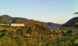 샬롬기도원
