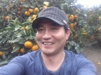 제주머슴네
