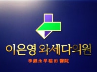 이은영와세다의원