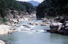 철원전통장류영농조합