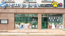 연지동물병원