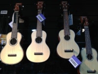 코이디아악기사