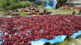 정희네소머리국밥