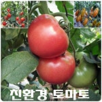 청림농장