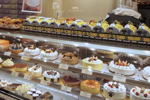 옵스 해운대점 사진