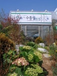 수풀림조경