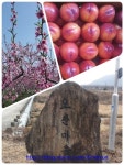 고인돌농장