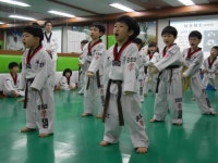 경희대효태권도