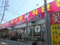 달구벌꽃집