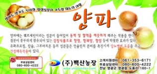 농업법인 백산