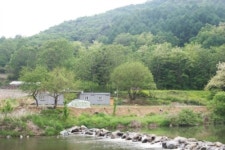 그린몽키펜션
