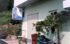 일신민박