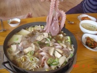 놀러오시개