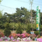 새우대농장