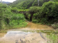 춘천민박정가네