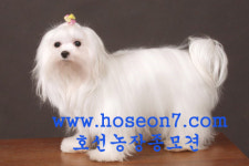 호선농장