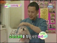 아이러브독 애견미용실