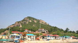 대장도
