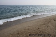 기성망양해수욕장