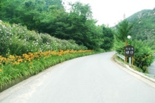 옥순봉펜션