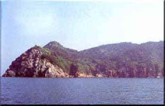 서도