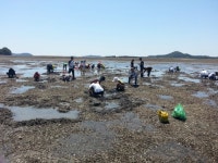 별빛바다리조트