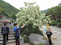 열린탁구광장