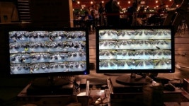 에스디에스테크놀로지