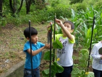 광주북초등학교