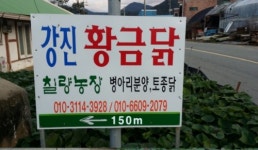 강진 황금닭 칠량농장