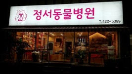 정서동물병원