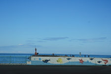 제주게스트하우스 하쿠나마타타