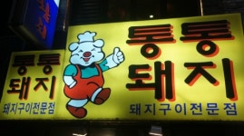 통통돼지