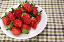 벅찬딸기금당마을