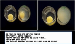 크린워터시스템 전북지사