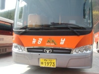 뉴강남여행사