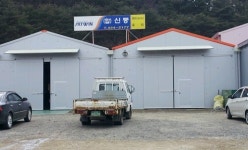 신풍유리