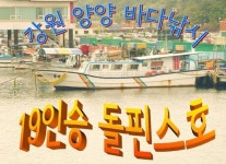 돌핀스호