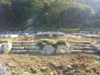 하늘천상조