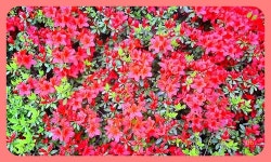 솔로몬공인중개사사무소