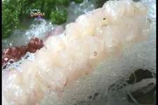 씨.후레쉬캐나디안 랍스터