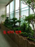 뜰안의행복