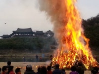 얼음골황금사과