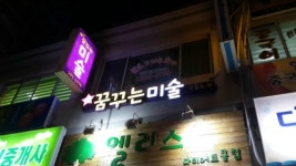 꿈꾸는미술